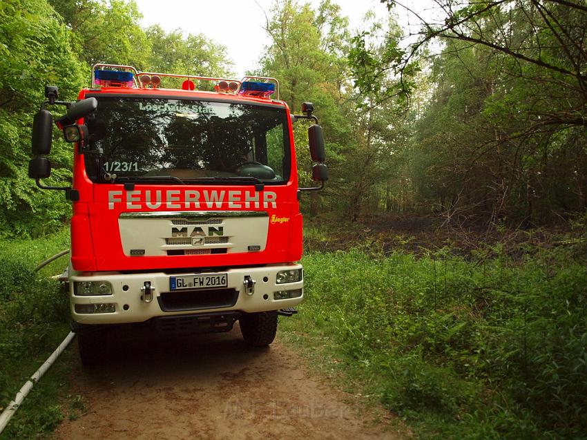 Waldbrand Bergisch Gladbach Bensberg P085.JPG